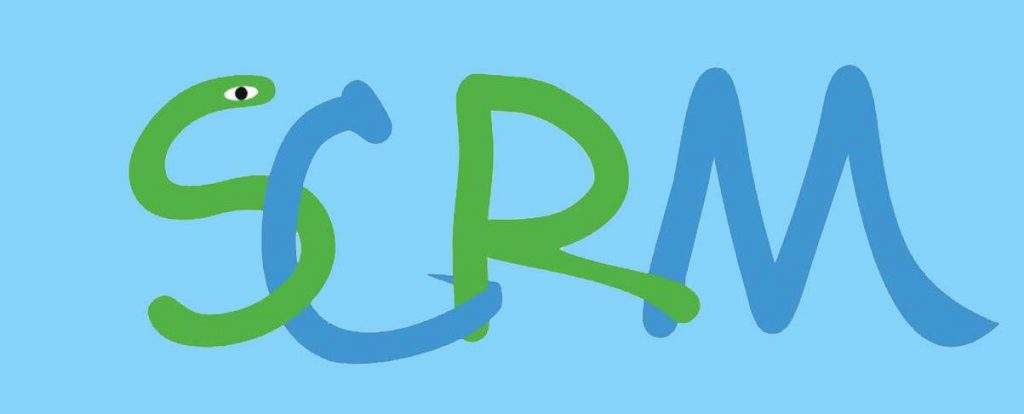 《什么是SaaS級(jí)SCRM？大小企業(yè)為何紛紛嘗試？》